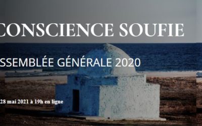 Rapport Moral Conscience Soufie 2020