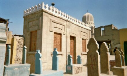 Conseils de lecture :